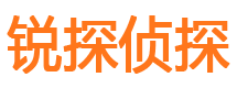 宁武侦探公司